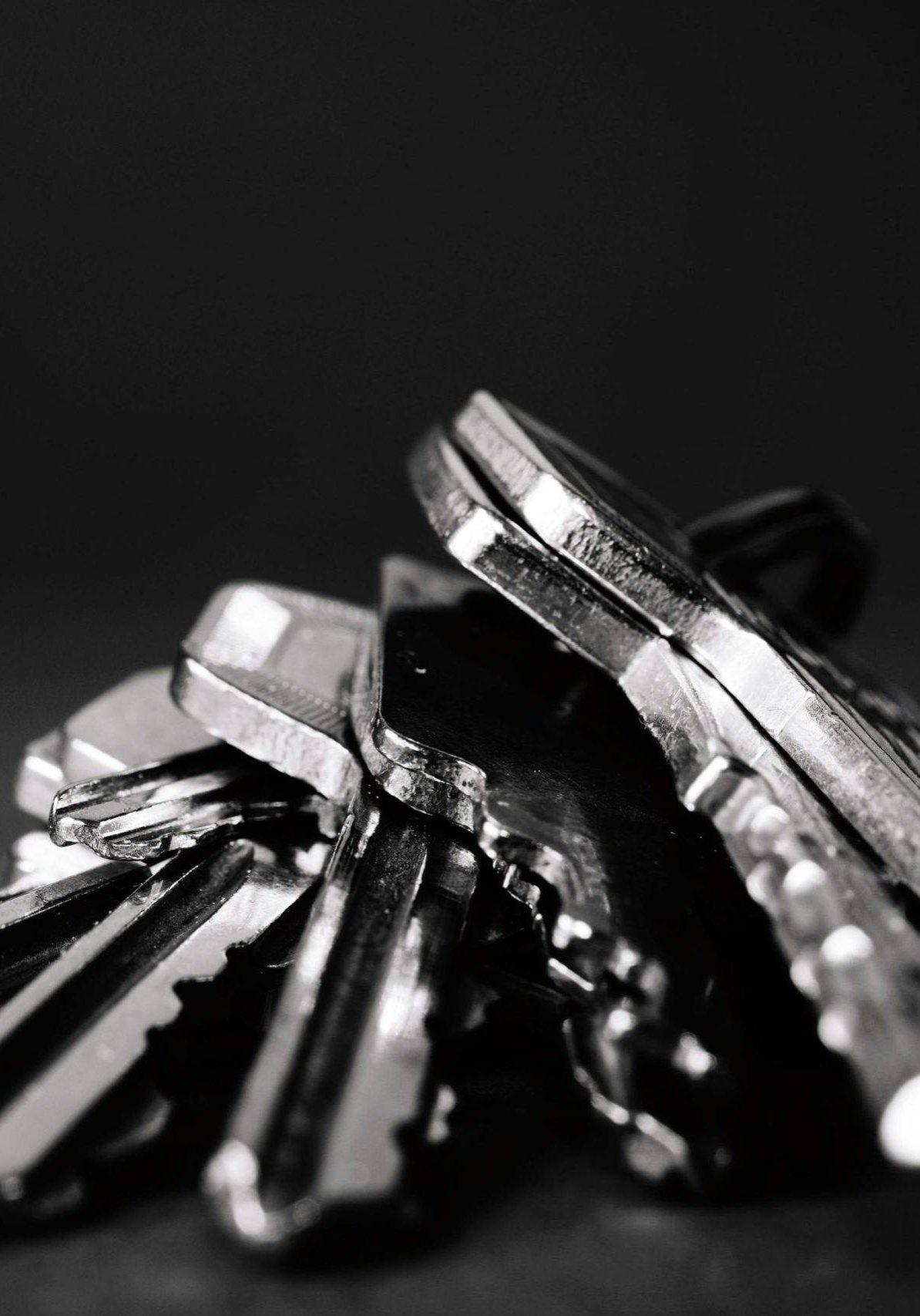 Pexels Eye4dtail 333837